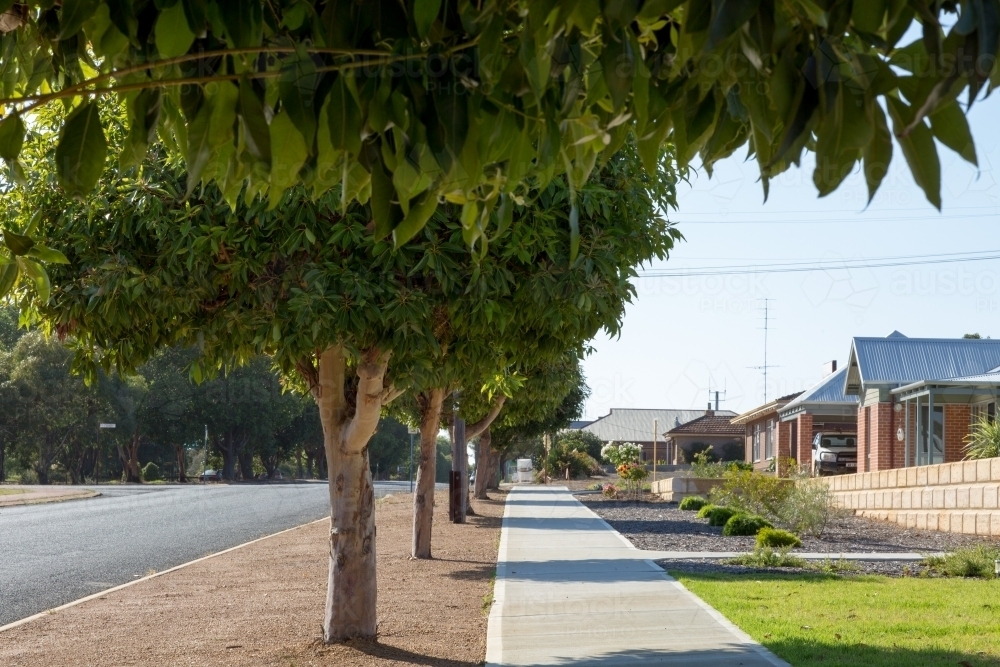 Footpath with street trees and houses - Australian Stock Image