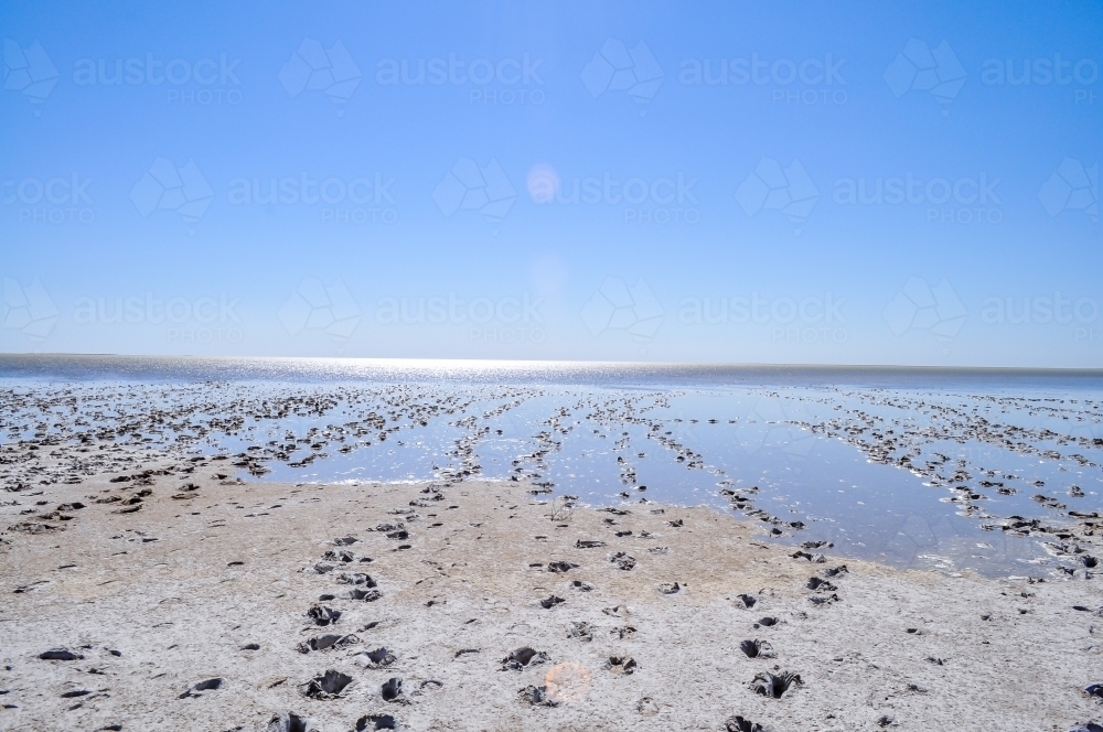 footprints in lake Eyre in flood - Australian Stock Image