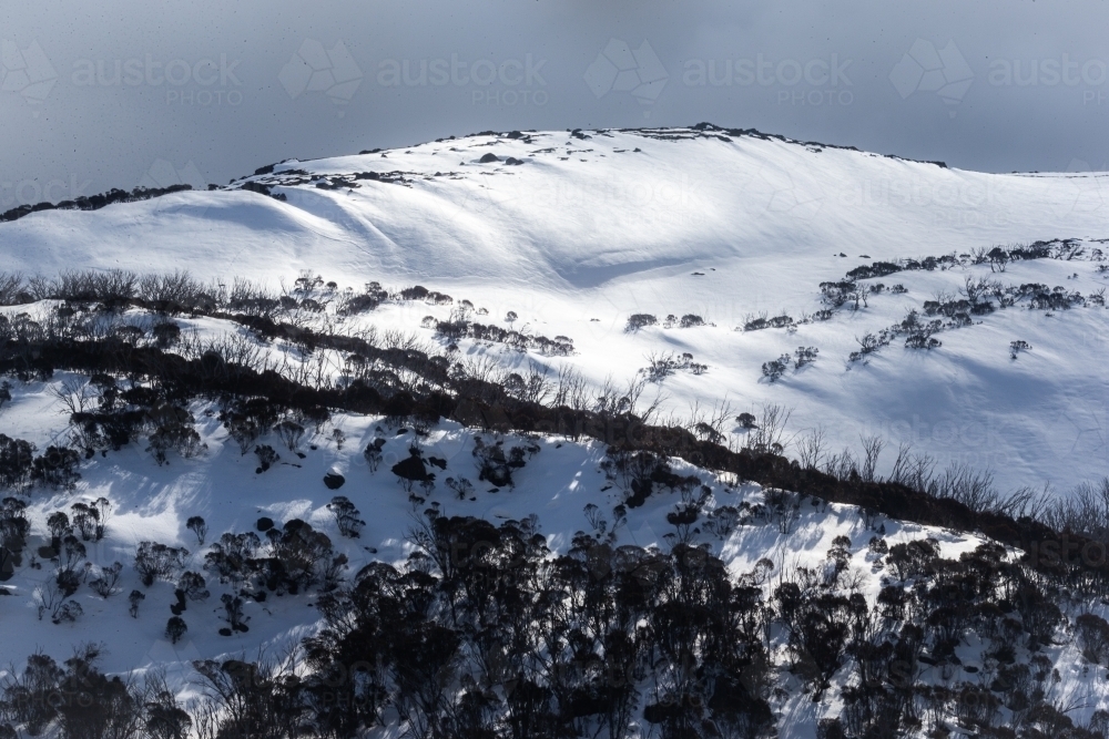 Forested hillside covered in snow - Australian Stock Image