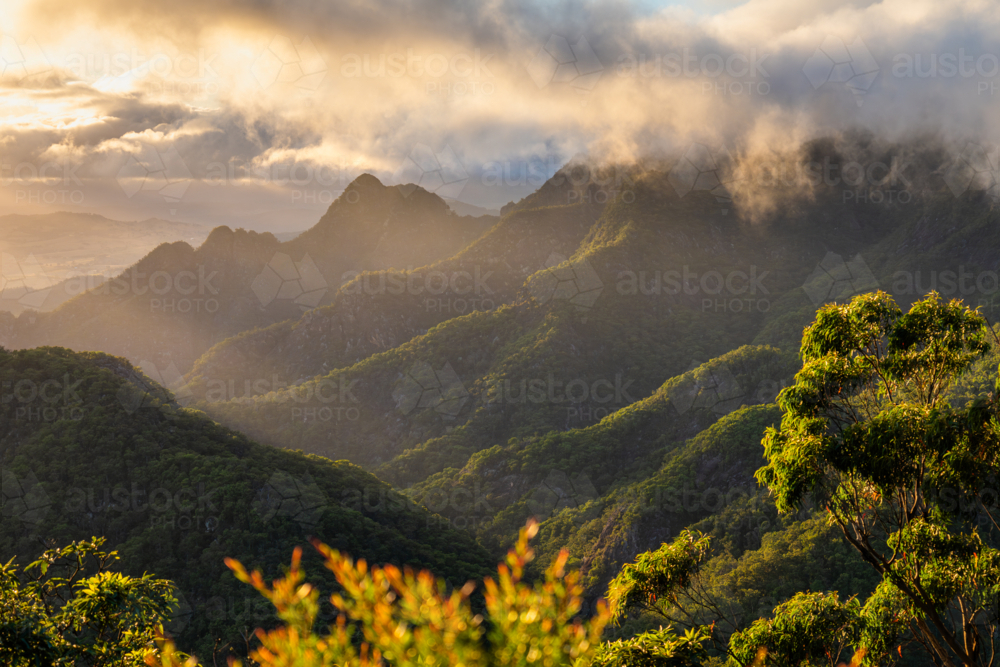 Forested mountain landscape of Mount Barney - Australian Stock Image