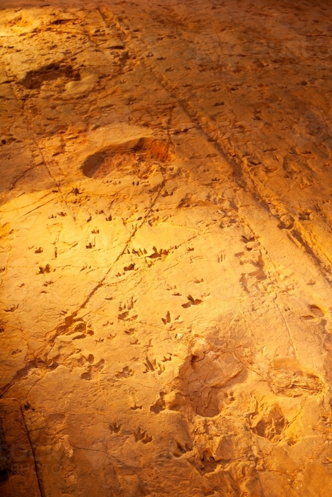 Fossilised dinosaur tracks in stone at the Lark Hill Quarry. - Australian Stock Image