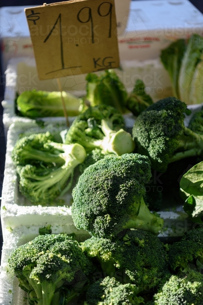 Fresh broccoli for sale with price tag on the market. - Australian Stock Image