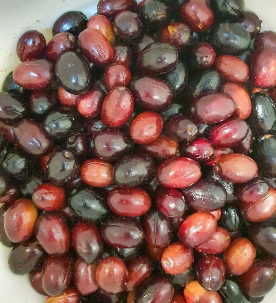 fresh picked olives - Australian Stock Image