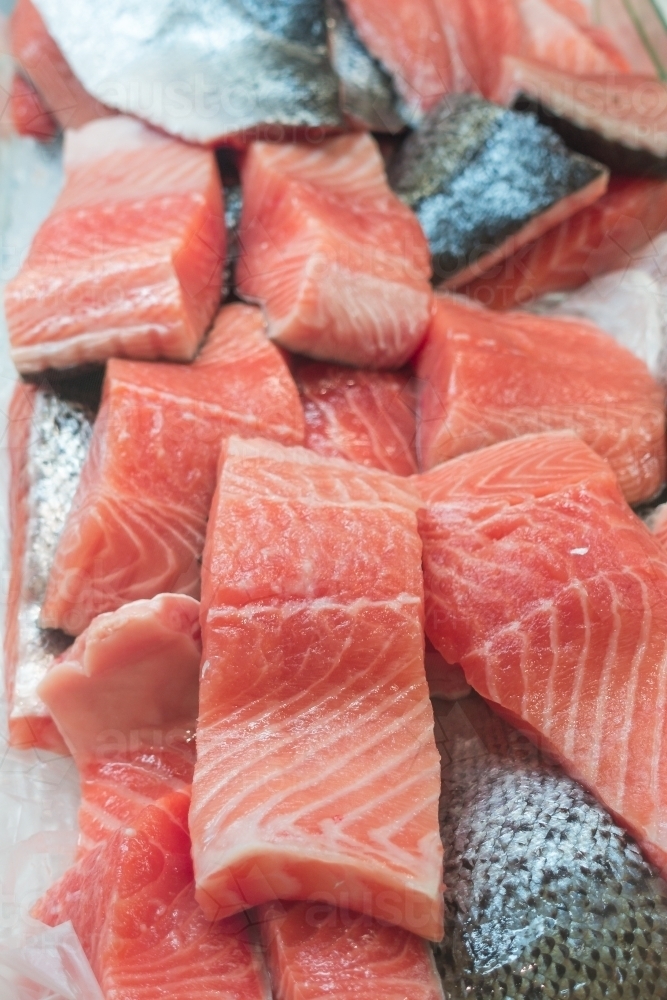 Fresh salmon fish for sale on the market. - Australian Stock Image