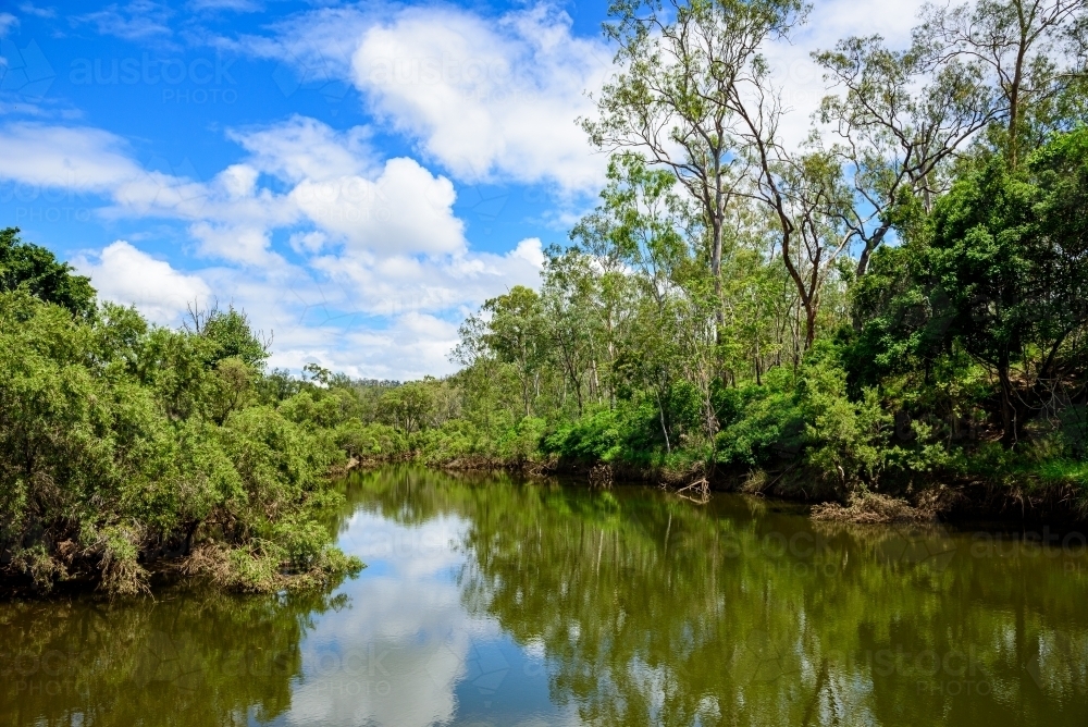 Fresh water creek - Australian Stock Image