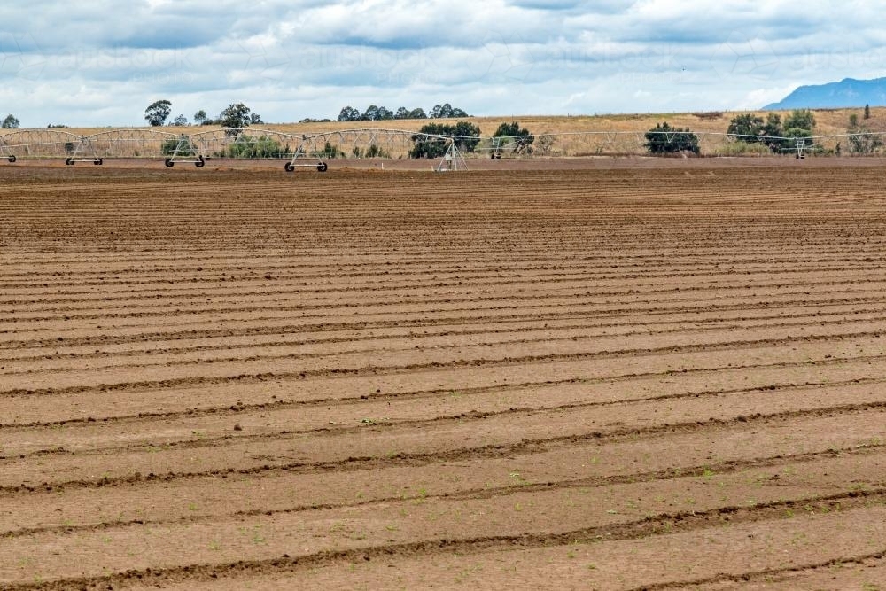 Freshly planted field with irrigator - Australian Stock Image