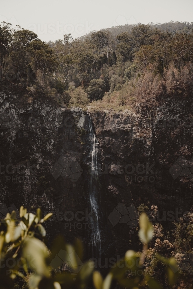 Front on view of Ellenborough Falls from across the valley. - Australian Stock Image