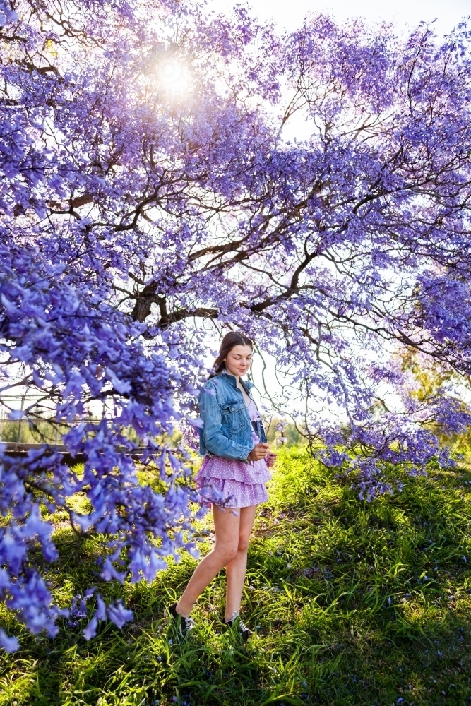 full length happy brunette teenage girl standing among flowering branches of purple jacaranda tree - Australian Stock Image