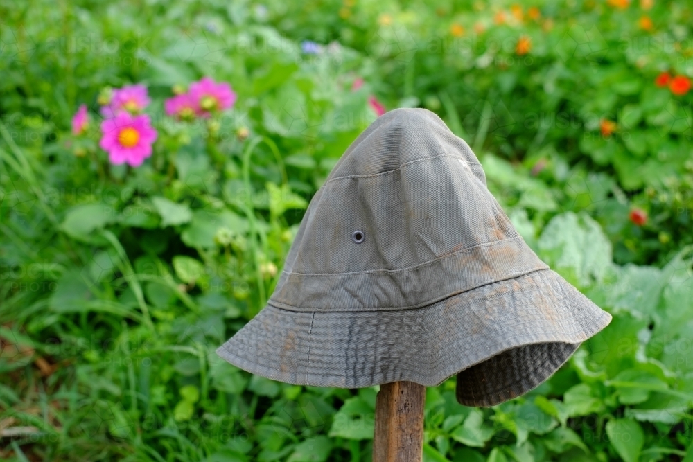 Gardener's hat at a flower farm - Australian Stock Image