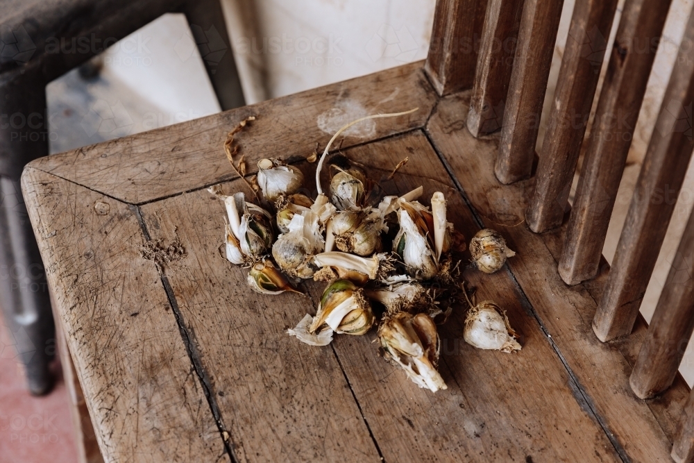 Garlic pulled from the garden - Australian Stock Image