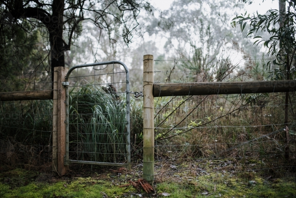 Gate into foggy overgrown paddock - Australian Stock Image