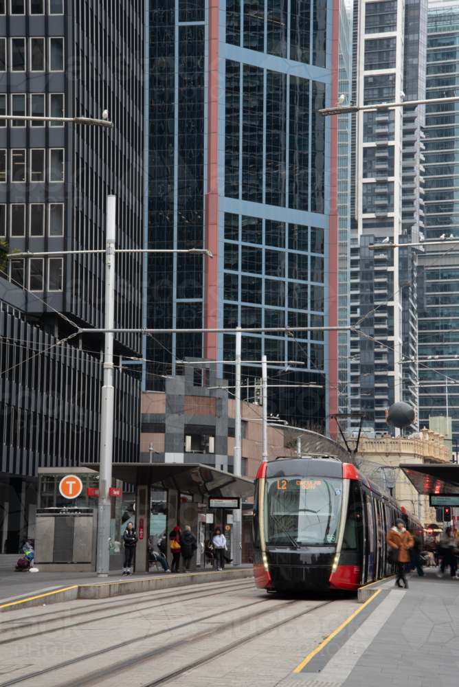 George Street light rail train - Australian Stock Image