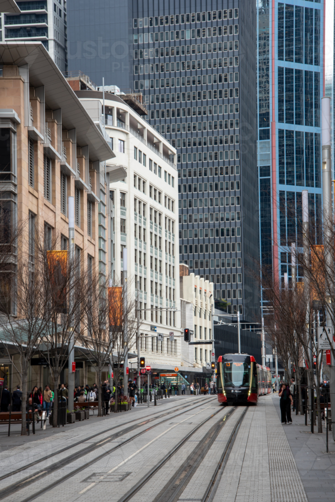 George Street Sydney with light rail train and bare street trees - Australian Stock Image