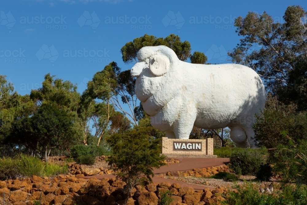 Giant Ram in Wagin, Western Australia - Australian Stock Image
