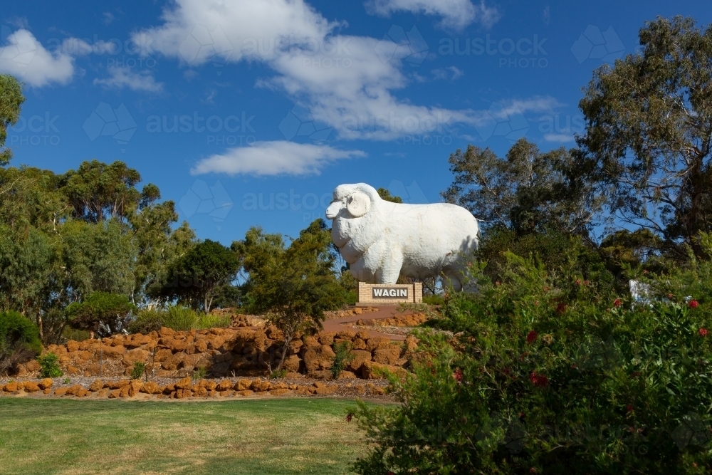 Giant Ram in Wagin, Western Australia - Australian Stock Image