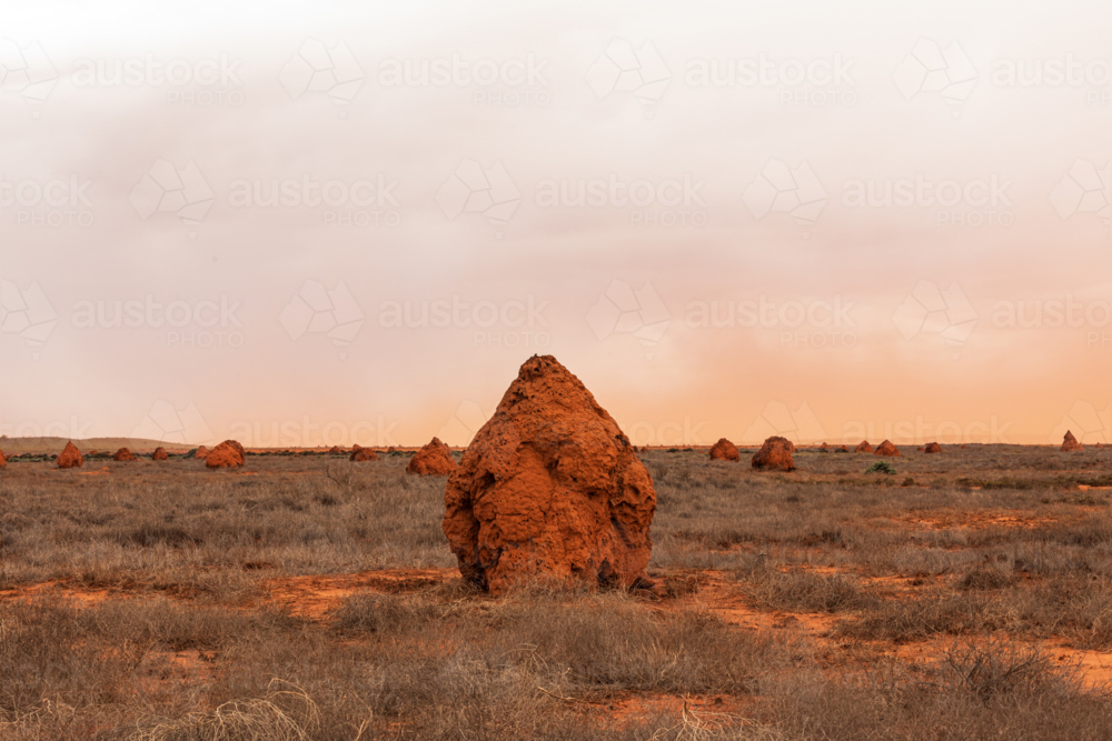 Giant termite mound in Pilbara landscape in dust storm - Australian Stock Image