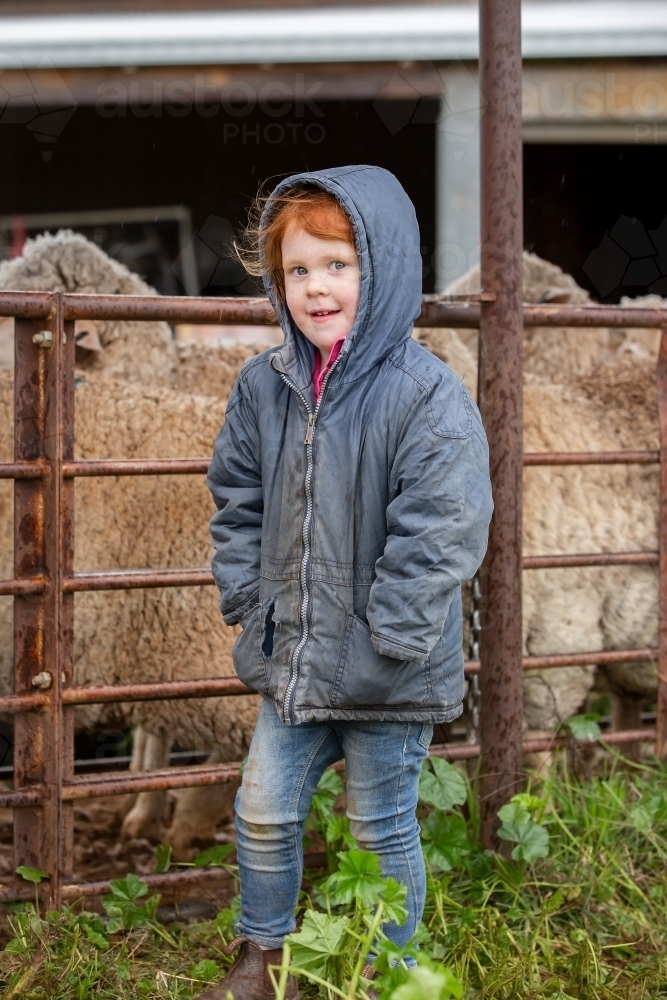 Girl helping out in the sheep yards - Australian Stock Image