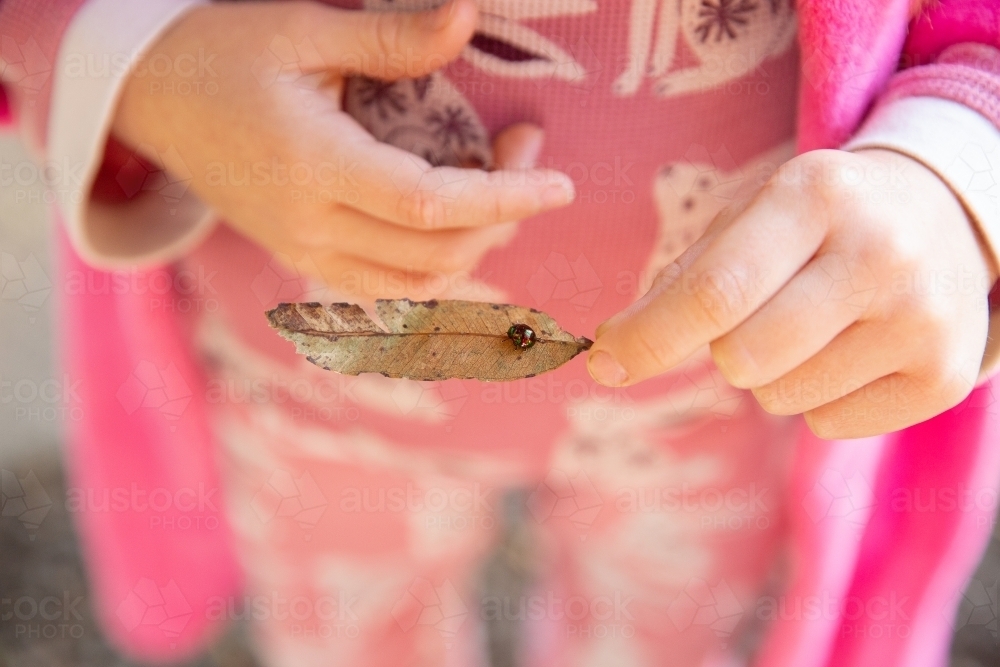 girl holding a bug on a leaf - Australian Stock Image