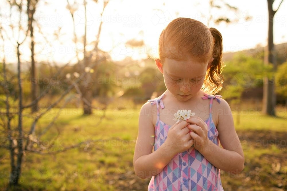 Girl in a field looking down at flowers - Australian Stock Image