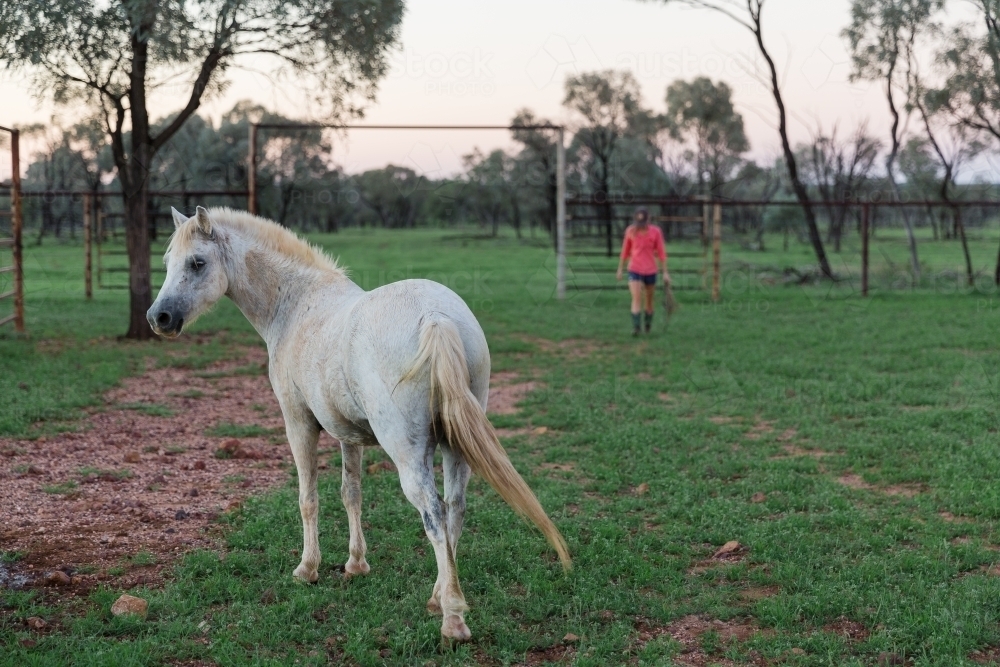 Girl walking towards pony - Australian Stock Image