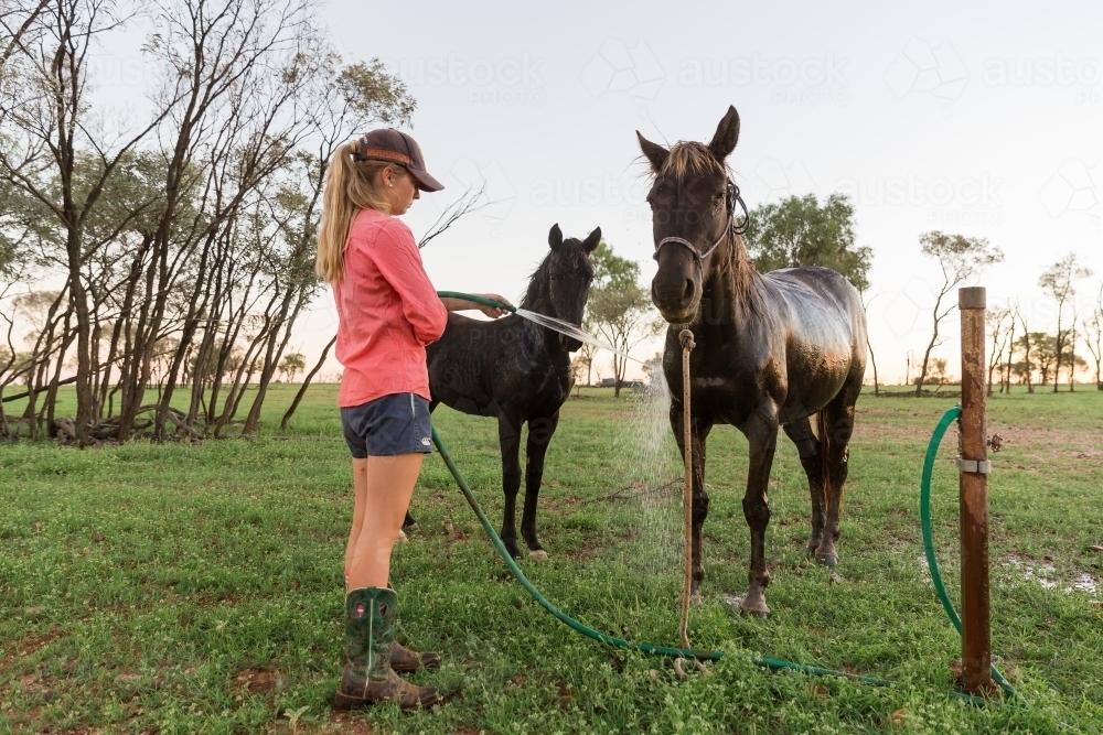 Girl washing horse - Australian Stock Image