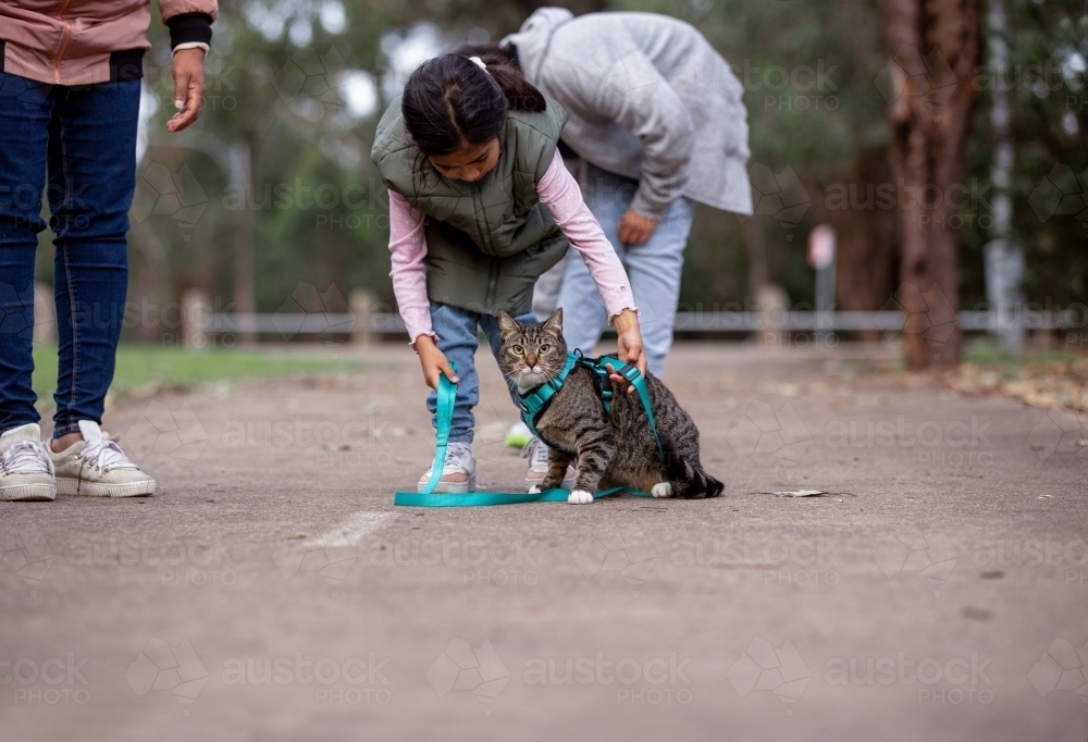 Girl wearing green coat with a cat bending down and holding the blue green leash - Australian Stock Image