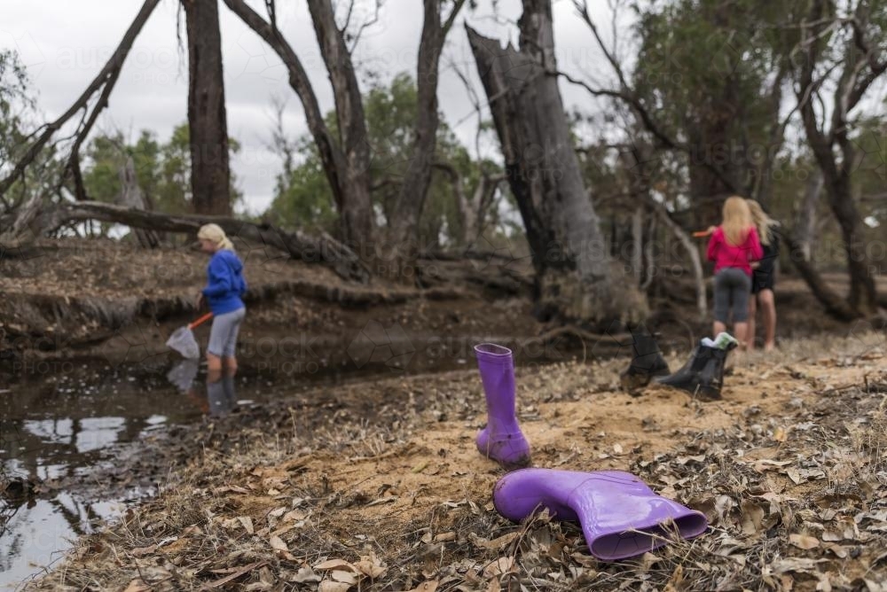 Girls Catching Tadpoles in the Creeek with Boots in Foreground - Australian Stock Image