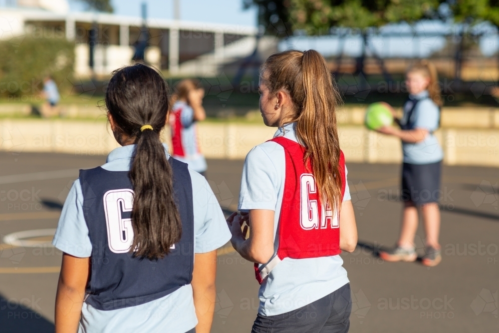 Girls on a netball court from behind - Australian Stock Image