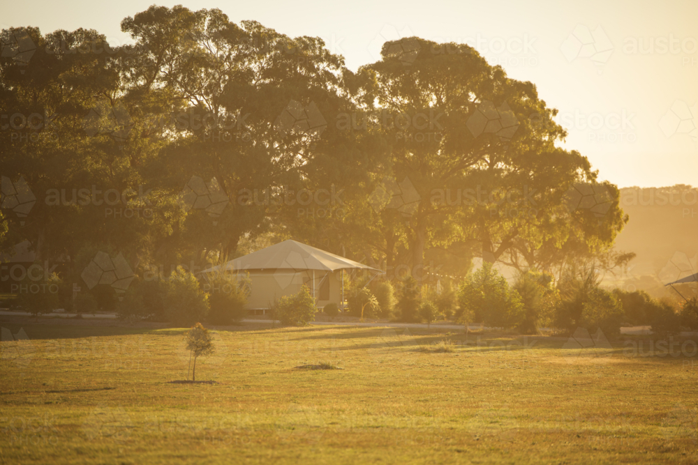 Glamping tents in the Autralian bush on a golden afternoon - Australian Stock Image