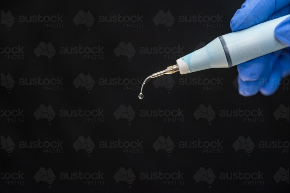 Gloved hand holding dentist ultrasonic teeth cleaning tool - Australian Stock Image