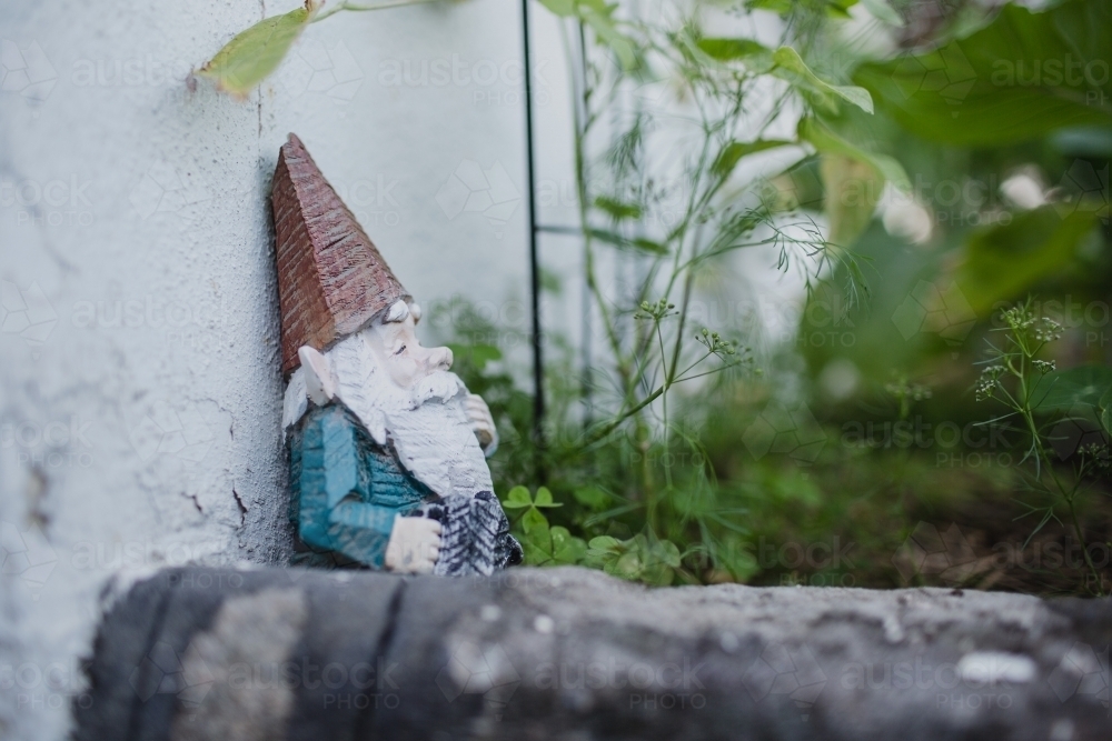 gnome in the garden - Australian Stock Image