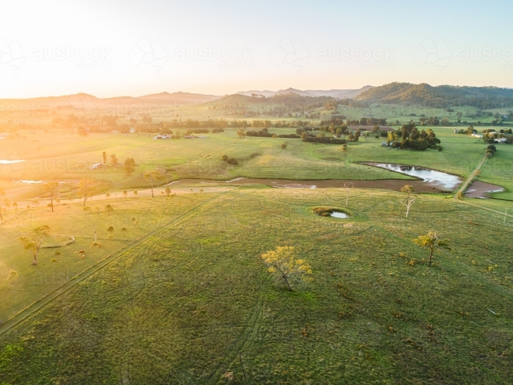 Golden australian light at sunset over green farmland at the base of hills with algae covered dam - Australian Stock Image