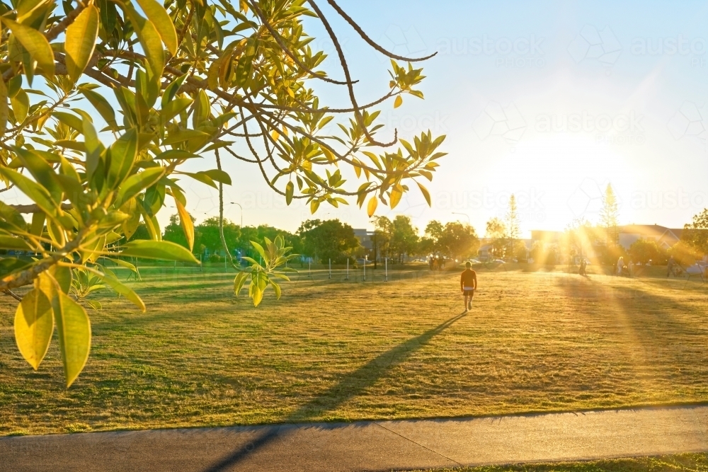 Golden hour, sunflare sunset at a park with one boy and copy space - Australian Stock Image