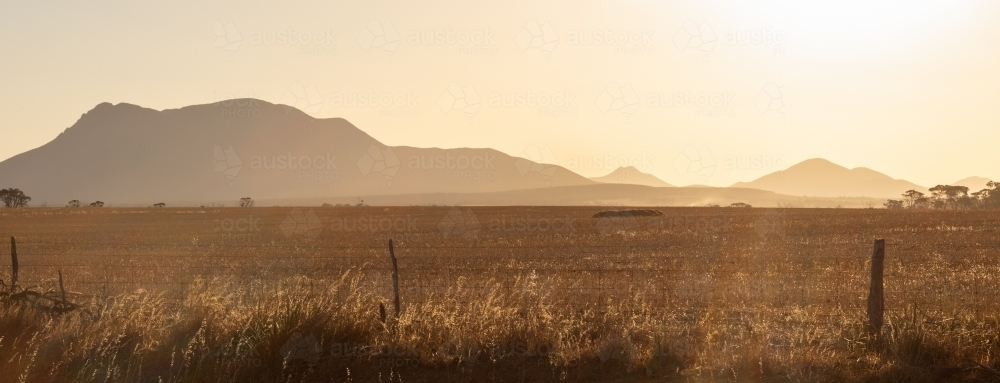 Golden light over summer fields to mountain range - Australian Stock Image