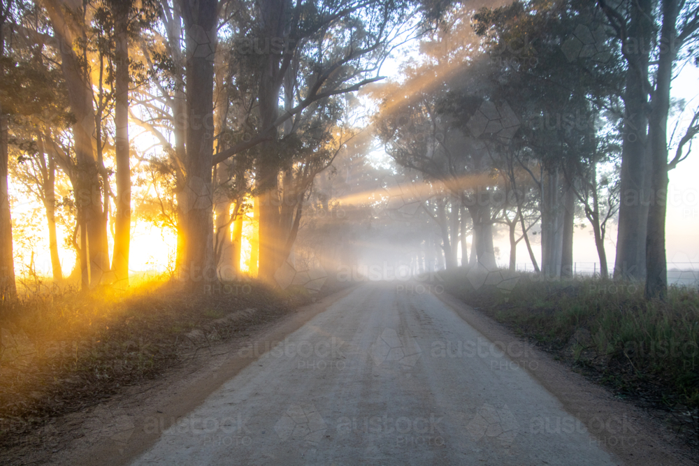 Golden rays of a rising sun on a dirt country road - Australian Stock Image