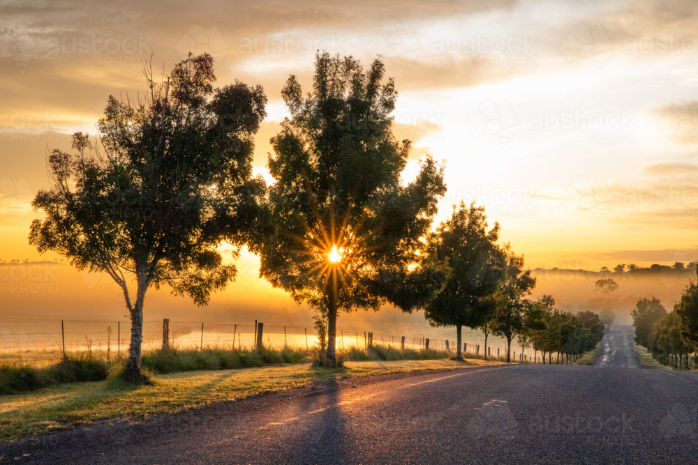 Golden rays of the morning sun on a country road on a moody country morning - Australian Stock Image