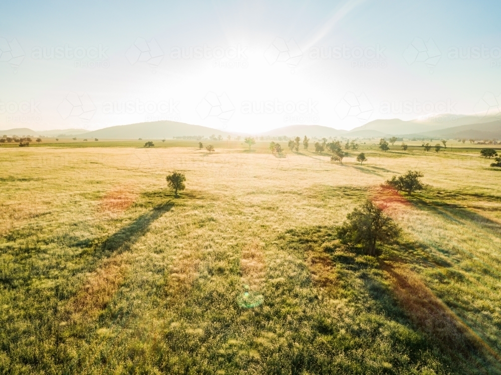 Golden sunlight shining over farm paddock with long green grass - Australian Stock Image