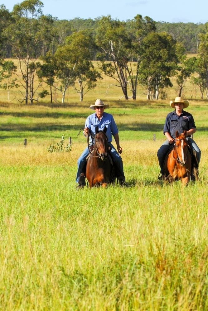 Image of Grandfather and grandson on horseback in lush grassy paddock ...