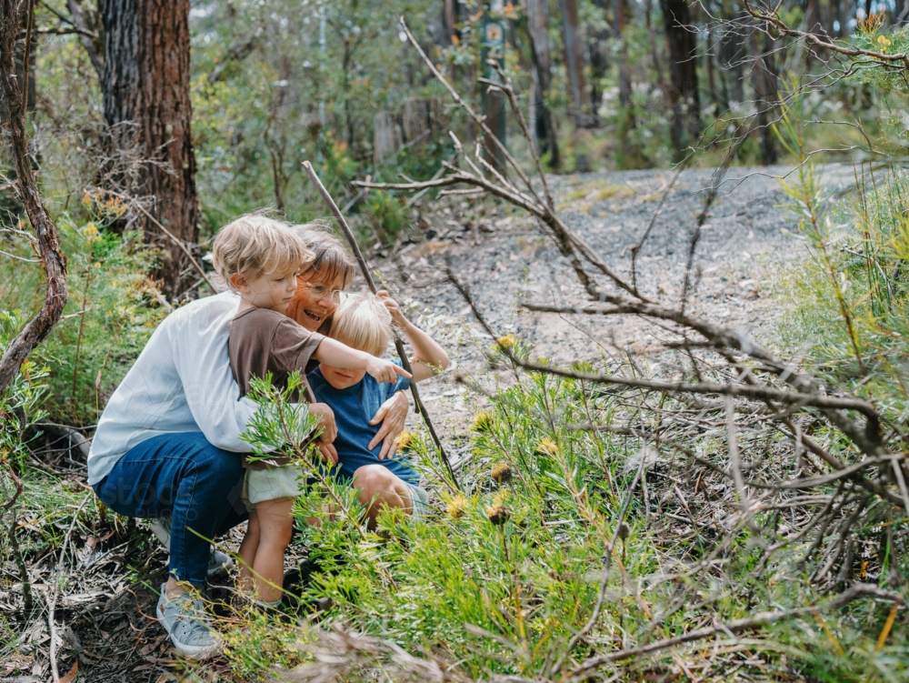 Grandmother enjoying Australian Bushland with her Grandchildren boy pointing - Australian Stock Image