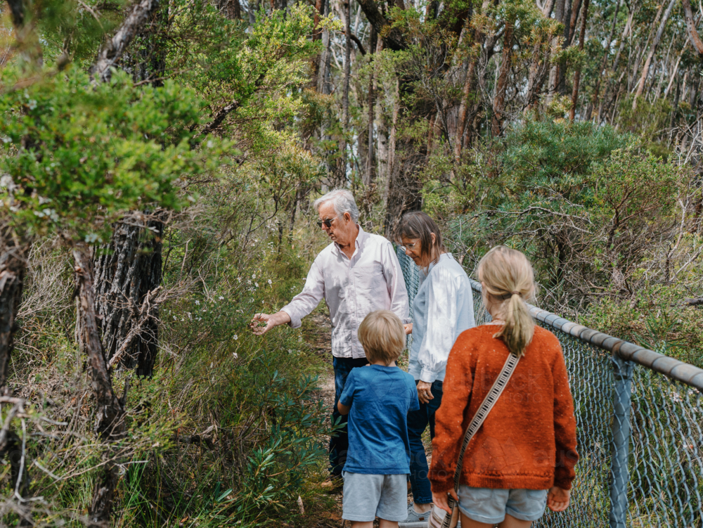 Grandparents enjoying a walk in Australian Bushland with their Grandchildren - Australian Stock Image