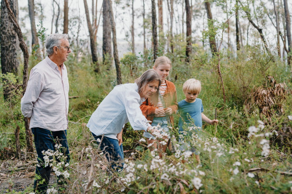 Grandparents enjoying Australian Bushland with their Grandchildren - Australian Stock Image