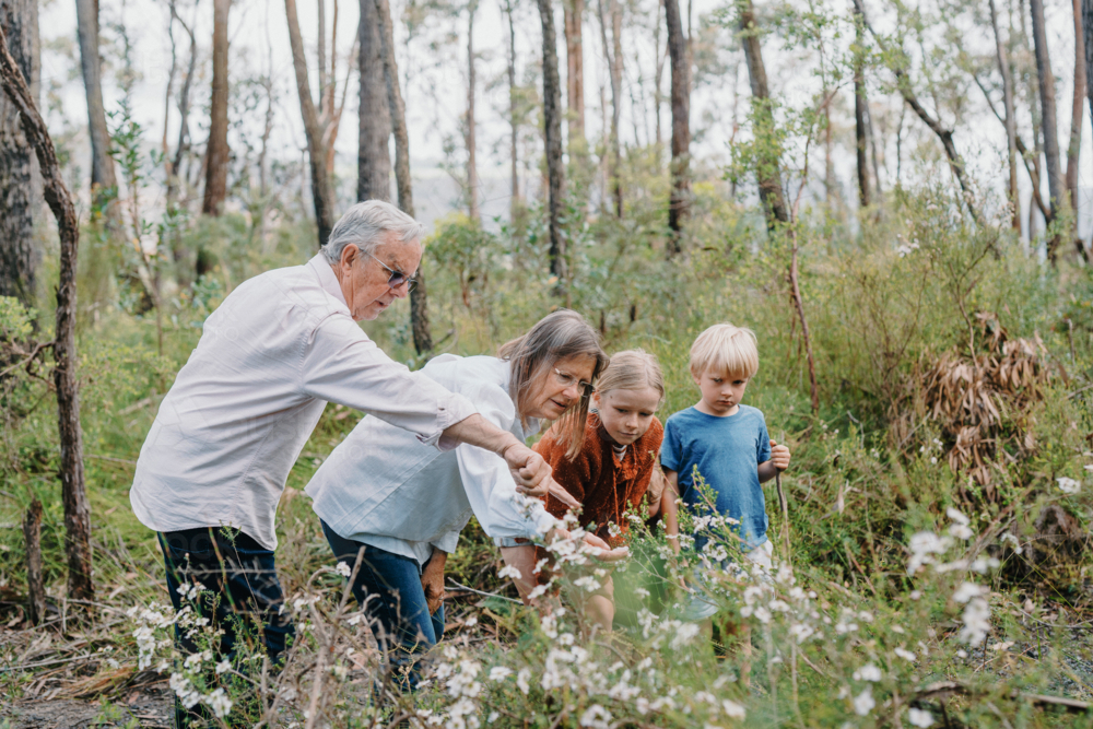 Grandparents enjoying Australian Bushland with their Grandchildren - Australian Stock Image