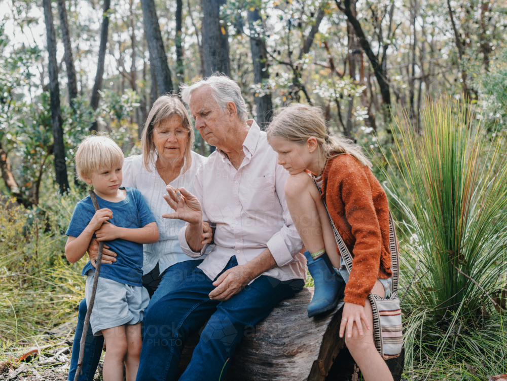 Grandparents enjoying Australian Bushland with their Grandchildren looking at cicada bug - Australian Stock Image