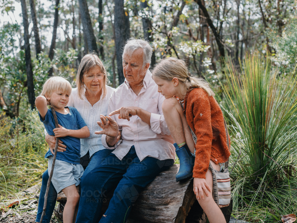 Grandparents enjoying Australian Bushland with their Grandchildren pointing at cicada bug - Australian Stock Image