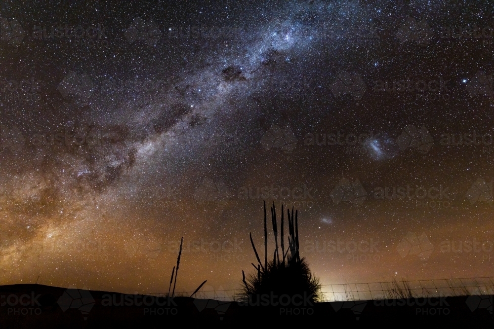 grass tree silhouette against Milky Way - Australian Stock Image