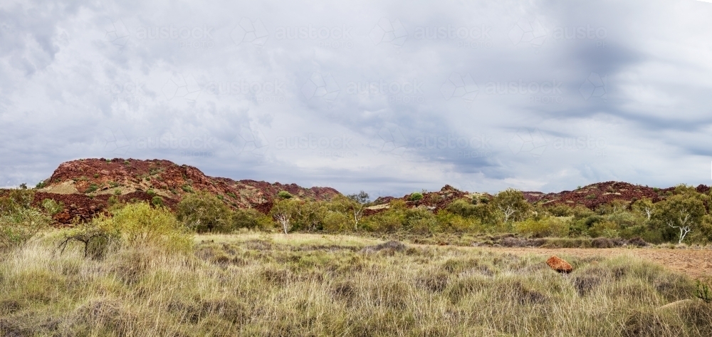 Grasses and trees in front of rocky hills with cloudy sky - Australian Stock Image