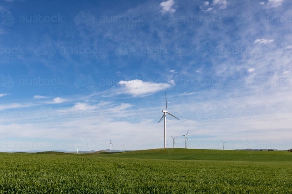 green crop with wind towers - Australian Stock Image