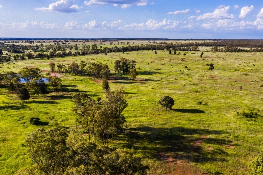 green farmland - Australian Stock Image