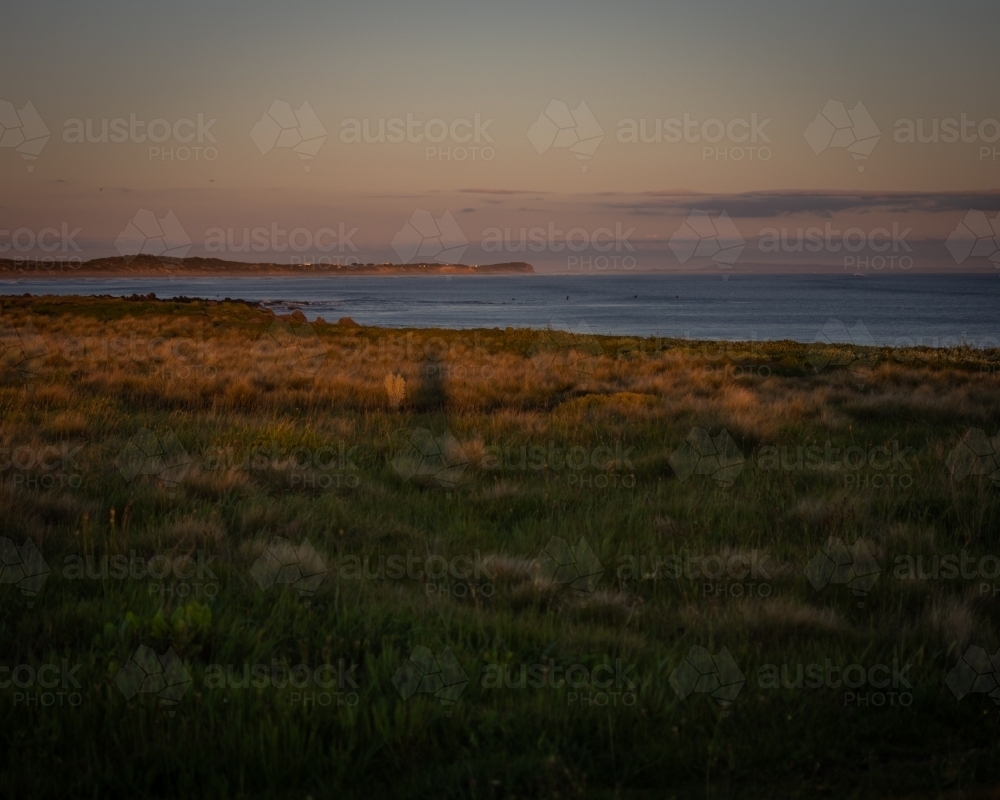 Green Seaside Field at Sunset - Australian Stock Image