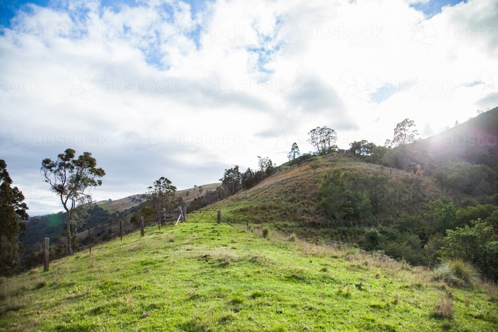 Green spur of a hill at sunrise - Australian Stock Image